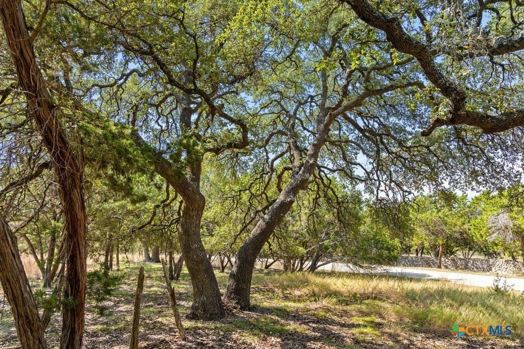 11.74 acres in Blanco County - photo 26