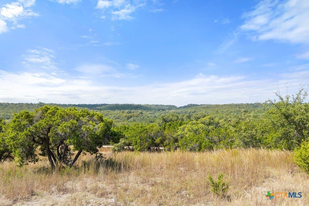 11.74 acres in Blanco County - photo 18