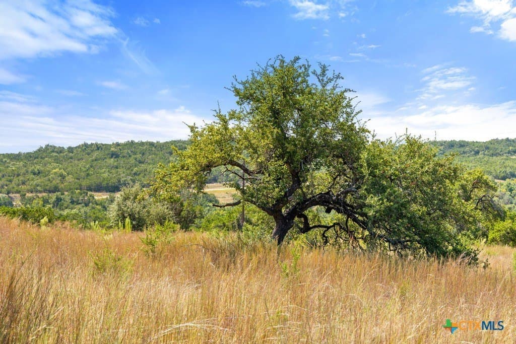 11.74 acres in Blanco County - photo 24