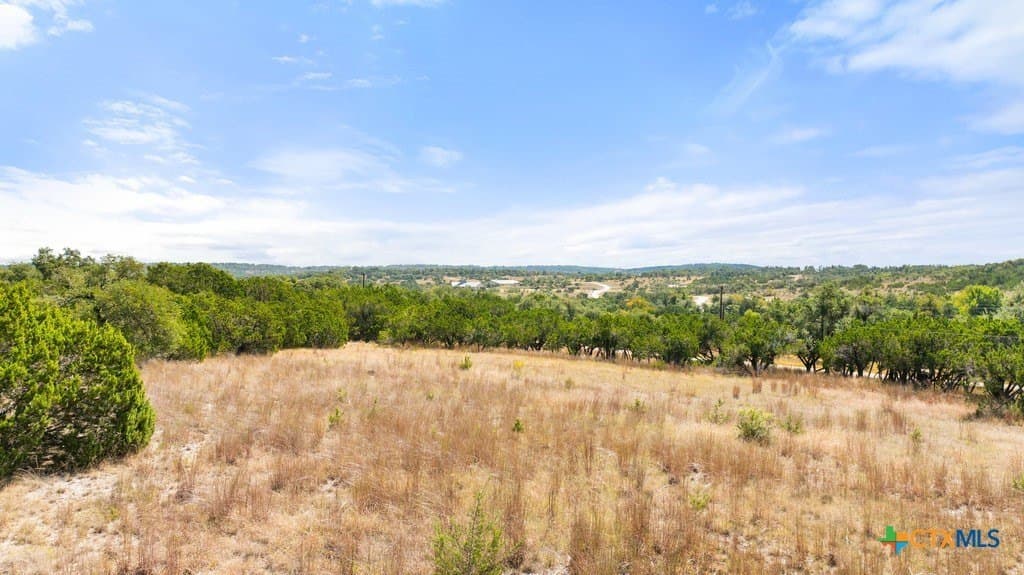 11.74 acres in Blanco County - photo 8