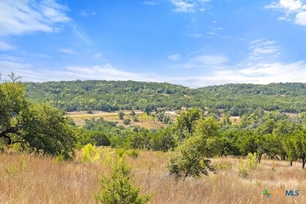 11.74 acres in Blanco County - photo 15
