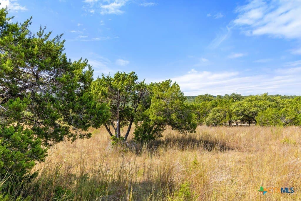 11.74 acres in Blanco County - photo 23