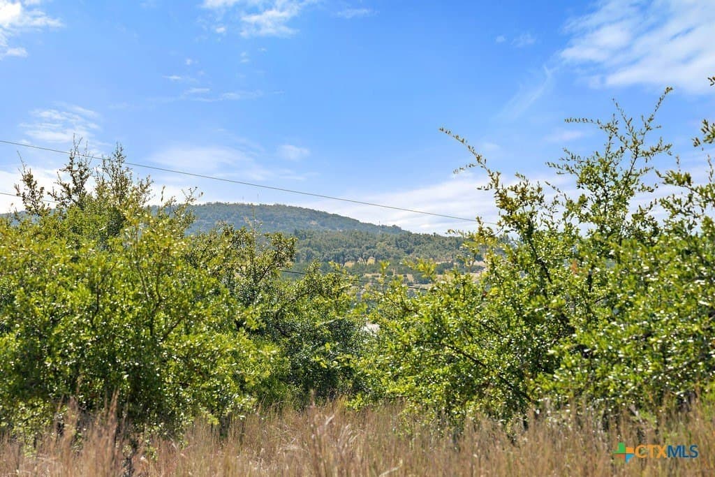 11.74 acres in Blanco County - photo 22