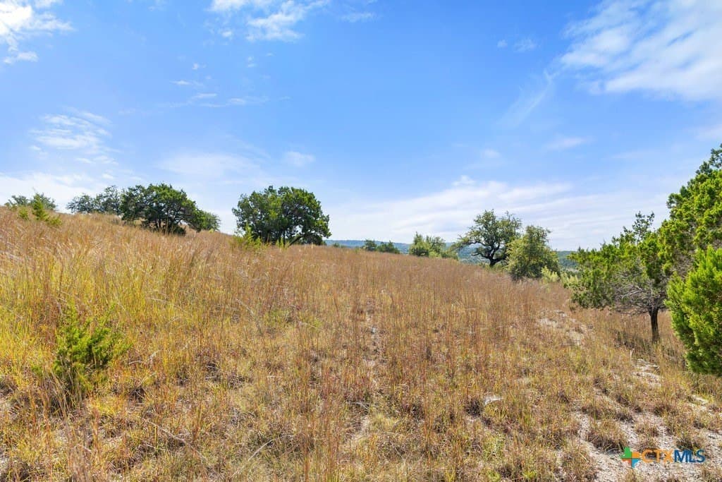 11.74 acres in Blanco County - photo 12