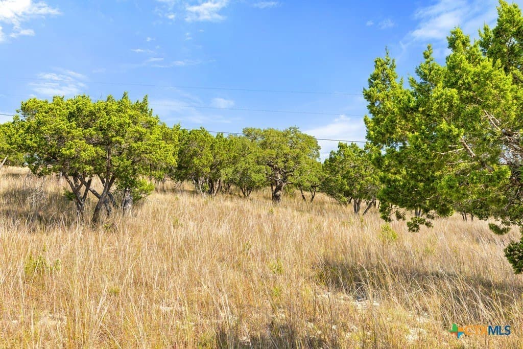 11.74 acres in Blanco County - photo 33