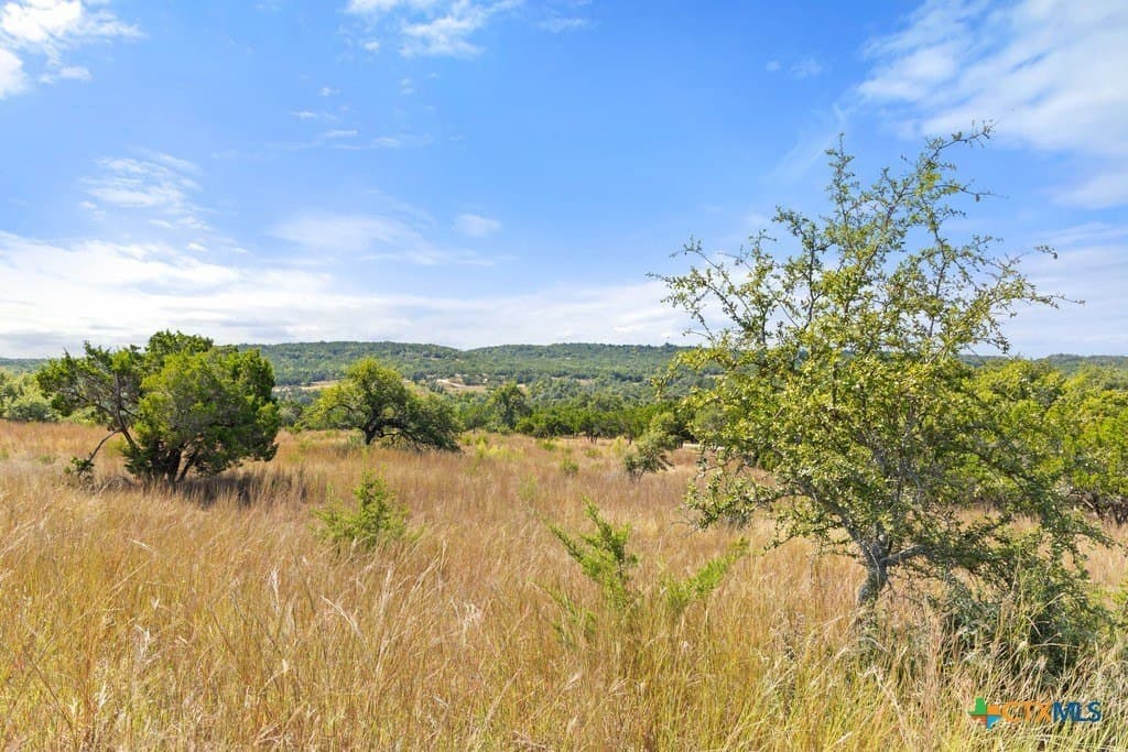 11.74 acres in Blanco County - photo 16