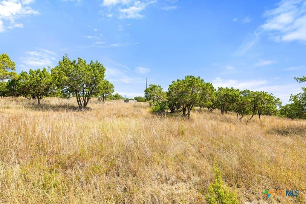 11.74 acres in Blanco County - photo 31