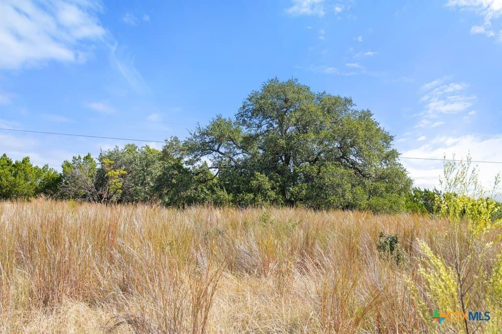 11.74 acres in Blanco County - photo 19