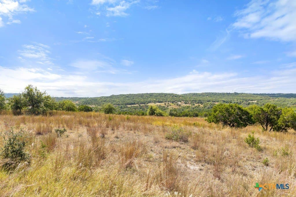 11.74 acres in Blanco County - photo 20