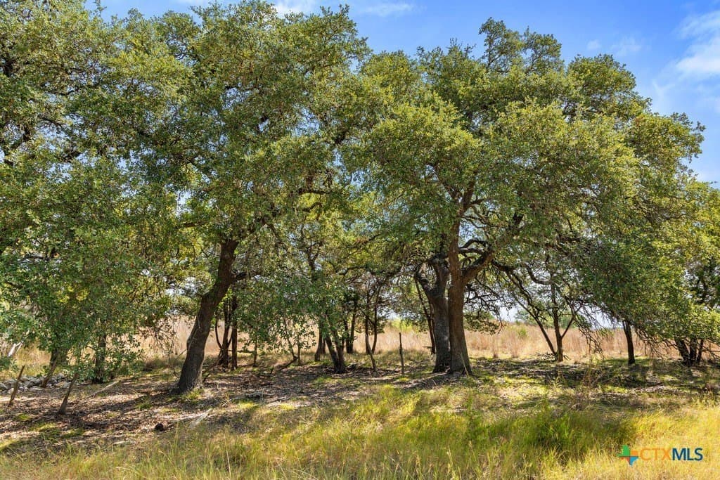 11.74 acres in Blanco County - photo 29