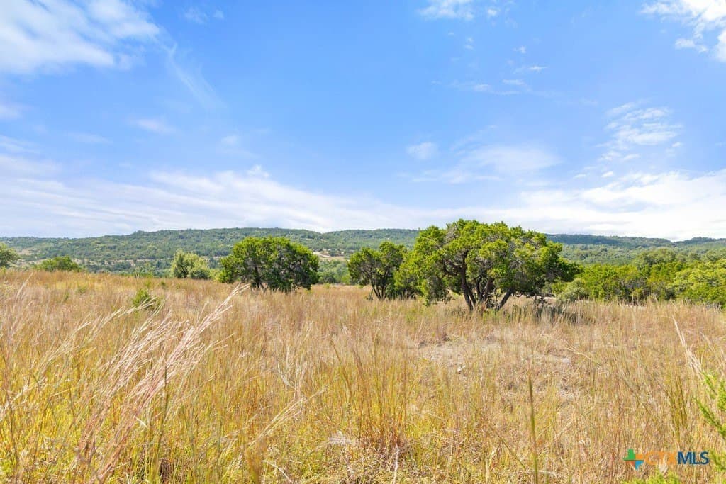 11.74 acres in Blanco County - photo 17