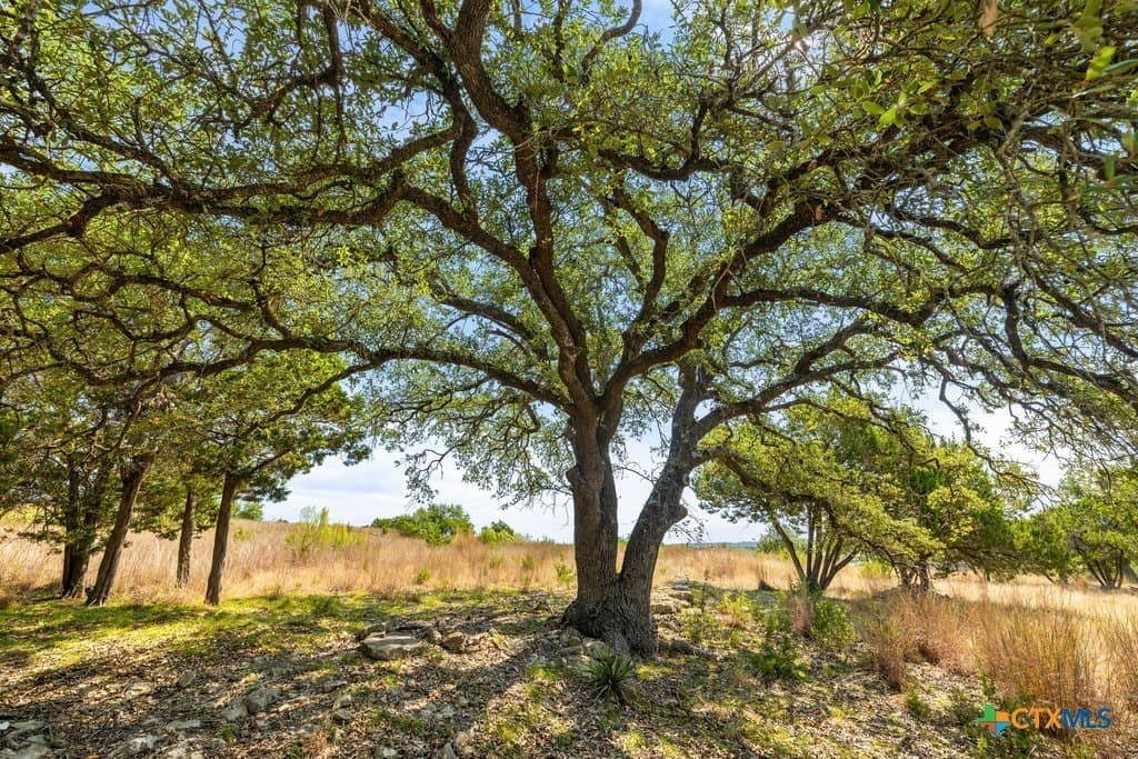 11.74 acres in Blanco County - photo 30