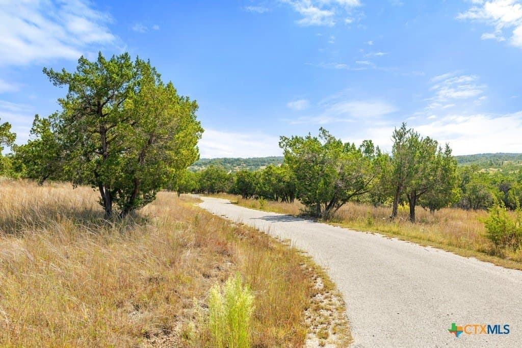 11.74 acres in Blanco County - photo 32