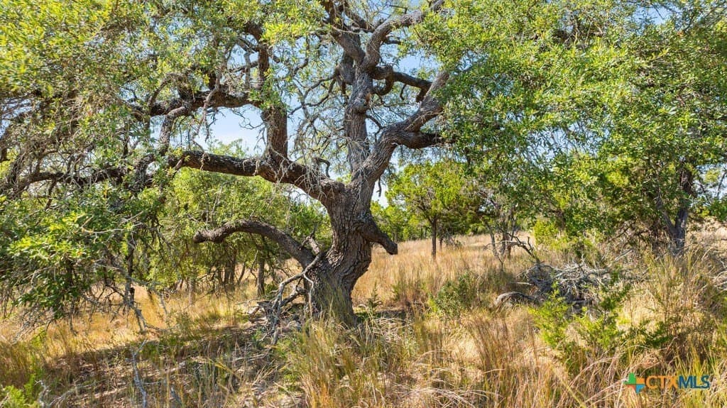 11.74 acres in Blanco County - photo 11