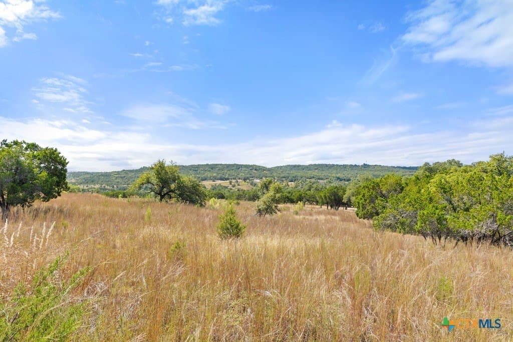 11.74 acres in Blanco County - photo 13