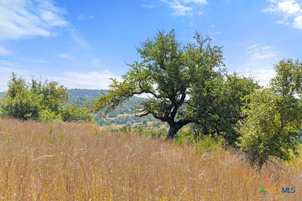 11.74 acres in Blanco County - photo 14