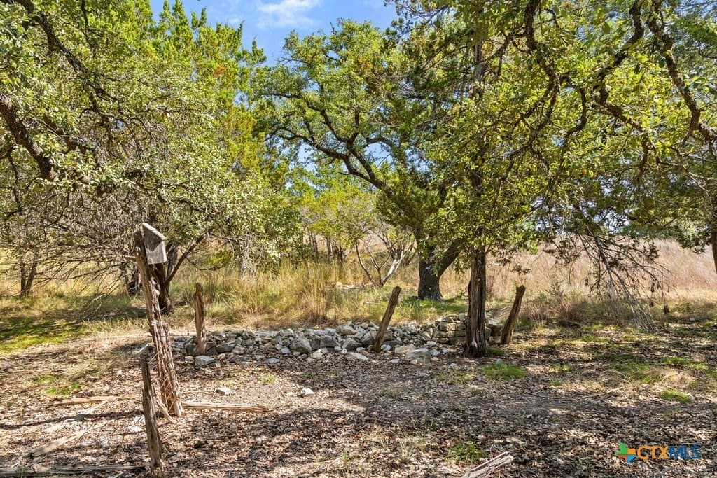 11.74 acres in Blanco County - photo 27