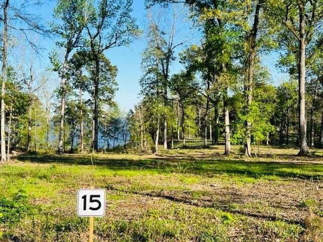 4.35 acres in Texas County featured view