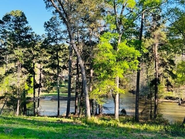 4.35 acres in Texas County