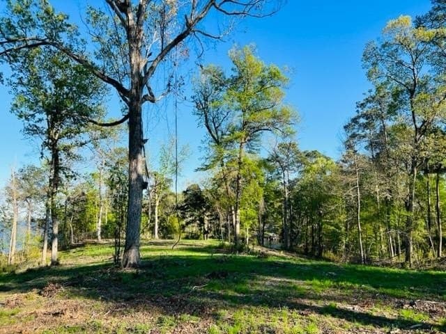 4.35 acres in Texas County gallery image 3