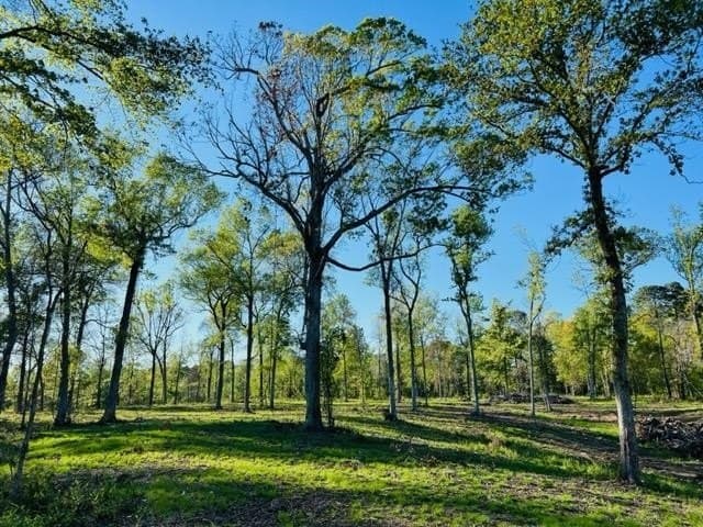 4.35 acres in Texas County gallery image 4
