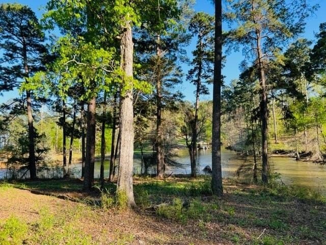 4.35 acres in Texas County gallery image 2