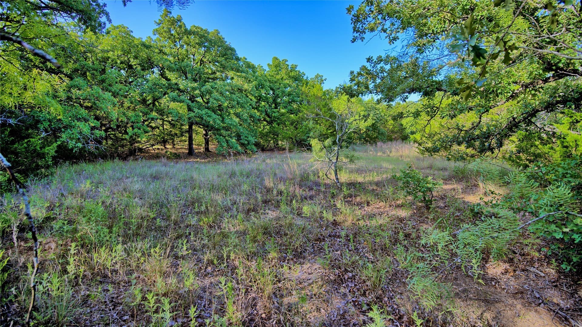 23.37 acres in Montague County - photo 9