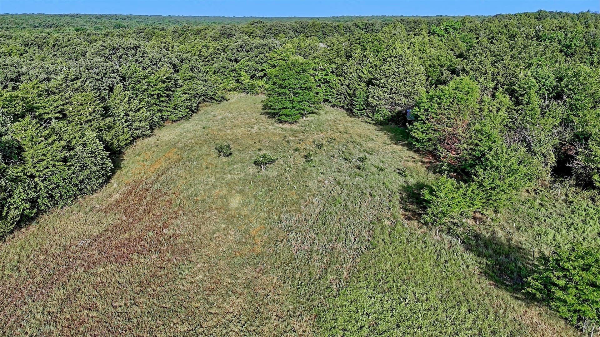 23.37 acres in Montague County - photo 10