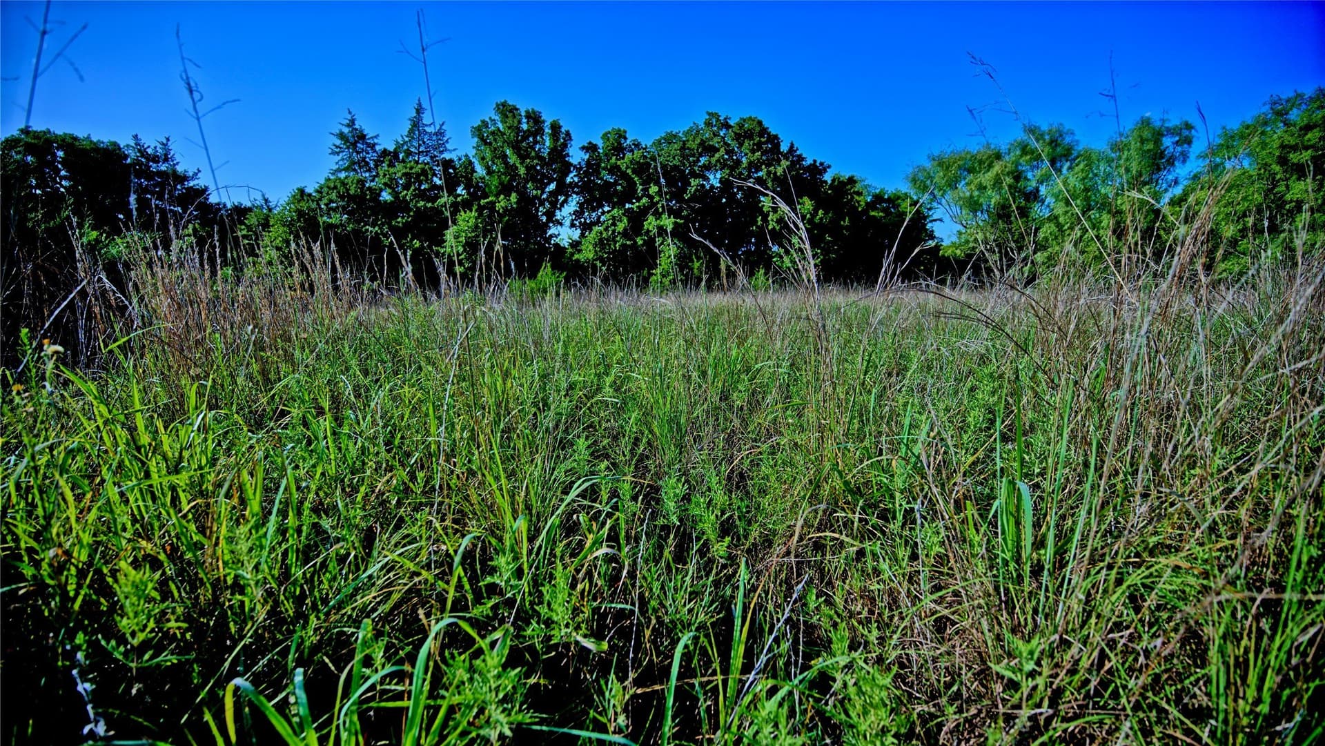 23.37 acres in Montague County - photo 12