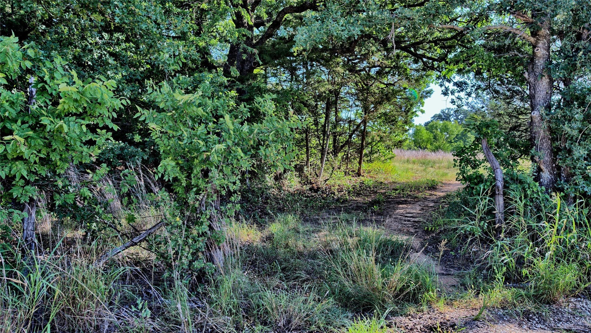 23.37 acres in Montague County - photo 14