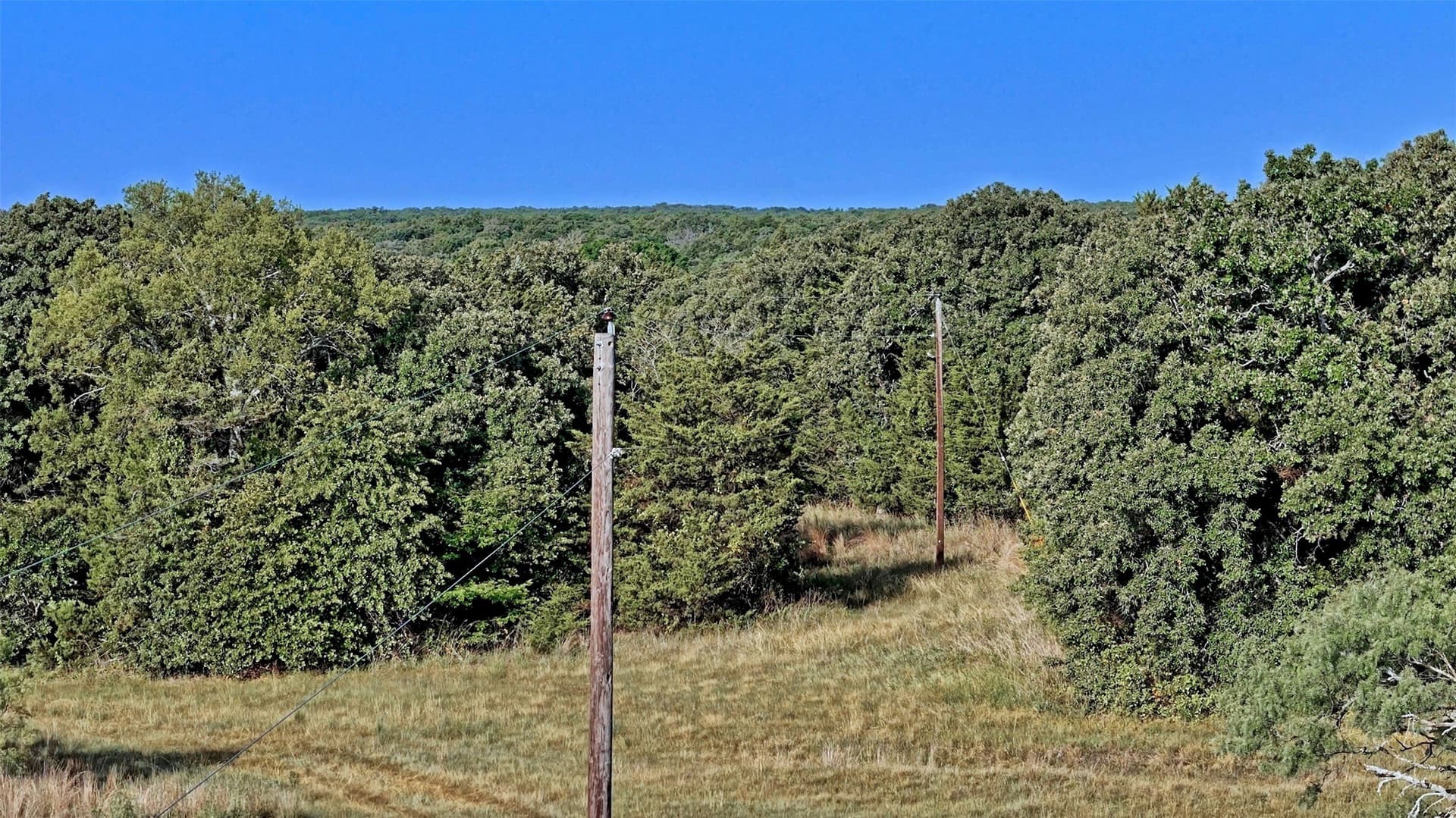 23.37 acres in Montague County gallery image 4