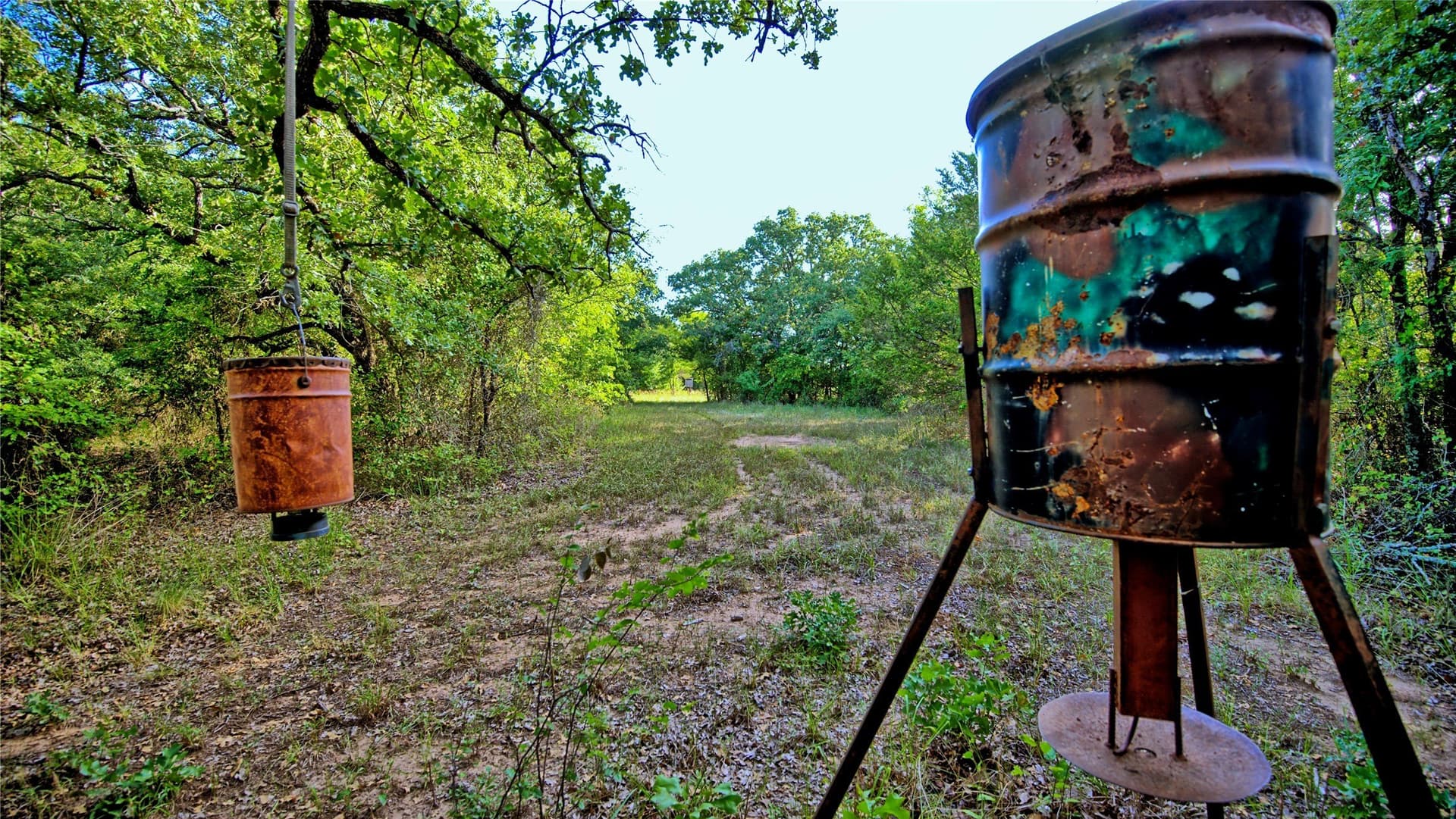 23.37 acres in Montague County - photo 6