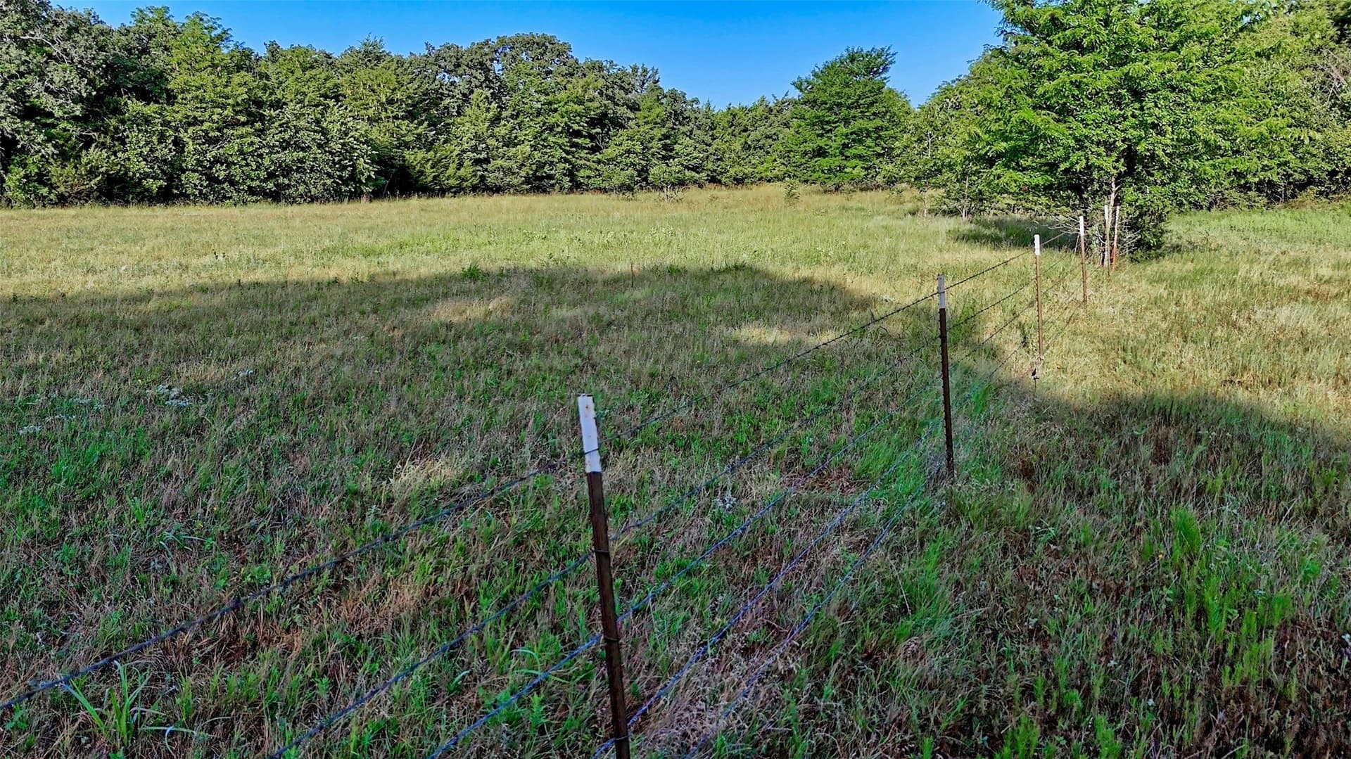 23.37 acres in Montague County gallery image 2