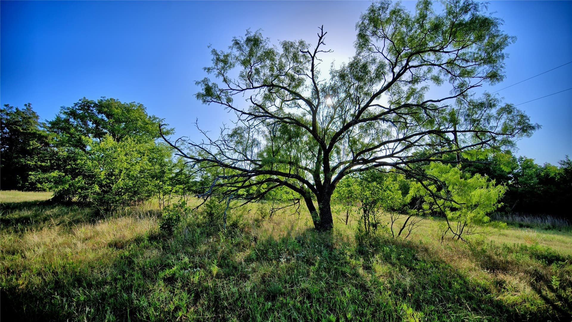 23.37 acres in Montague County - photo 15