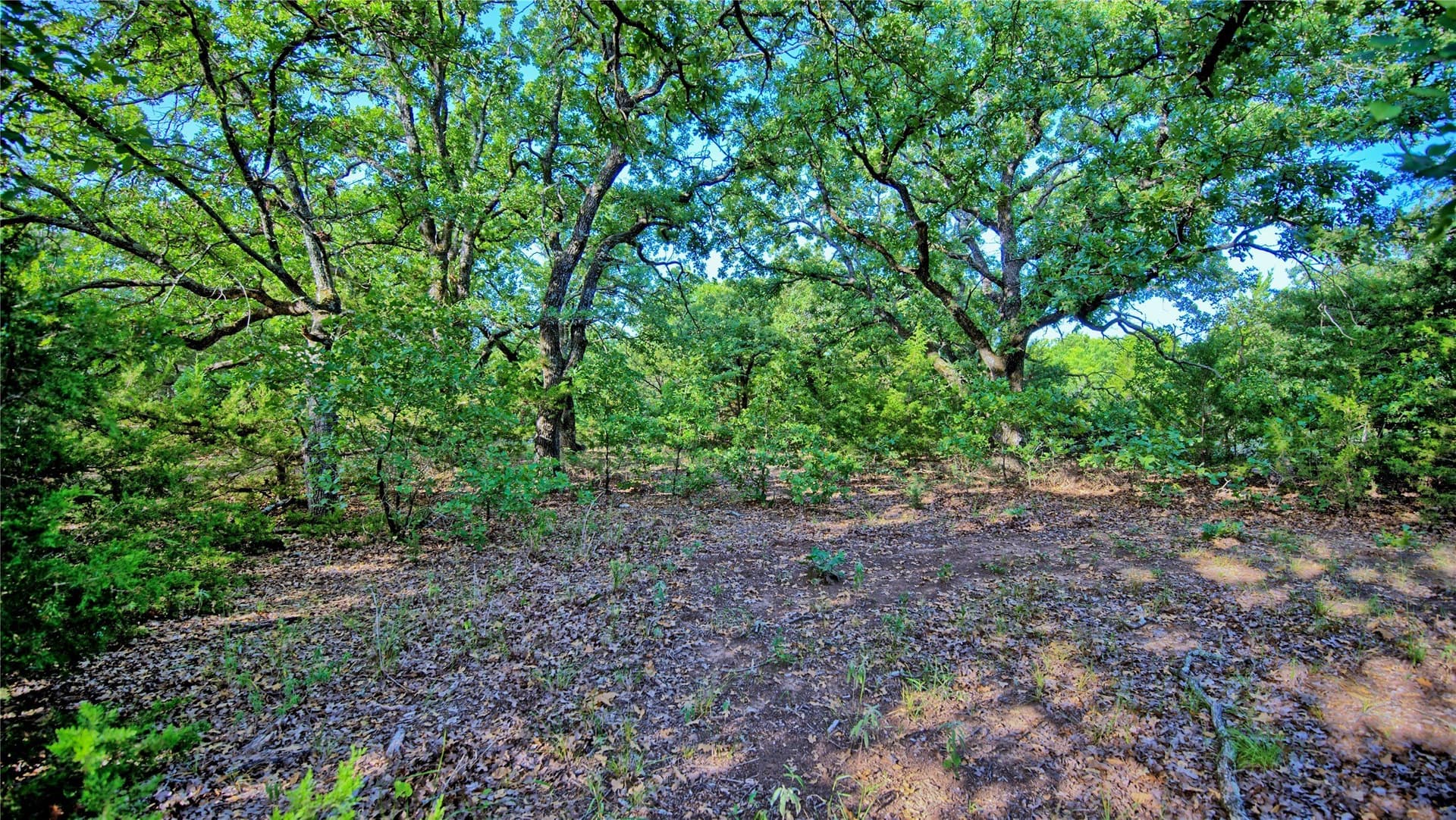 23.37 acres in Montague County - photo 13