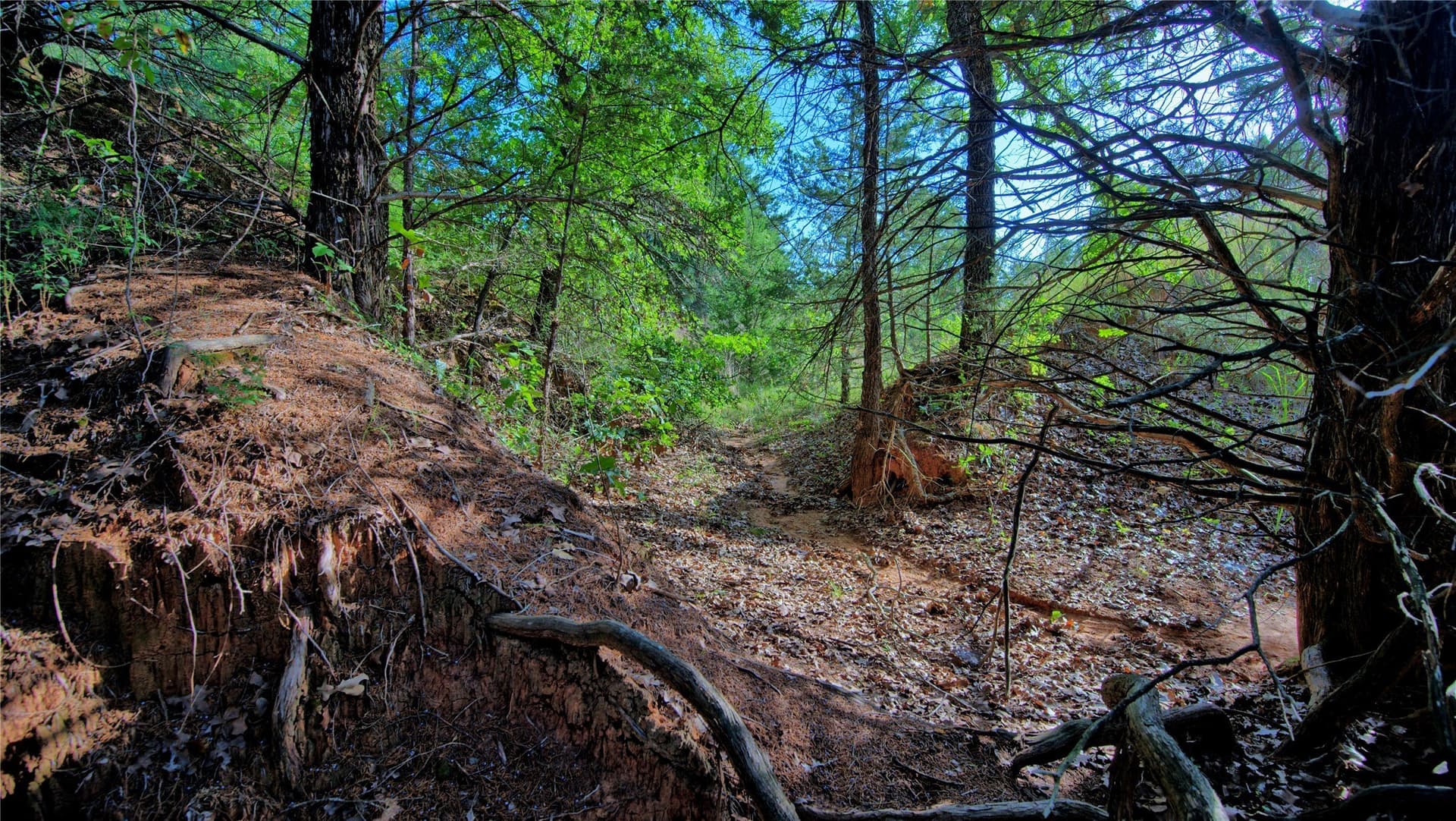 23.37 acres in Montague County - photo 7