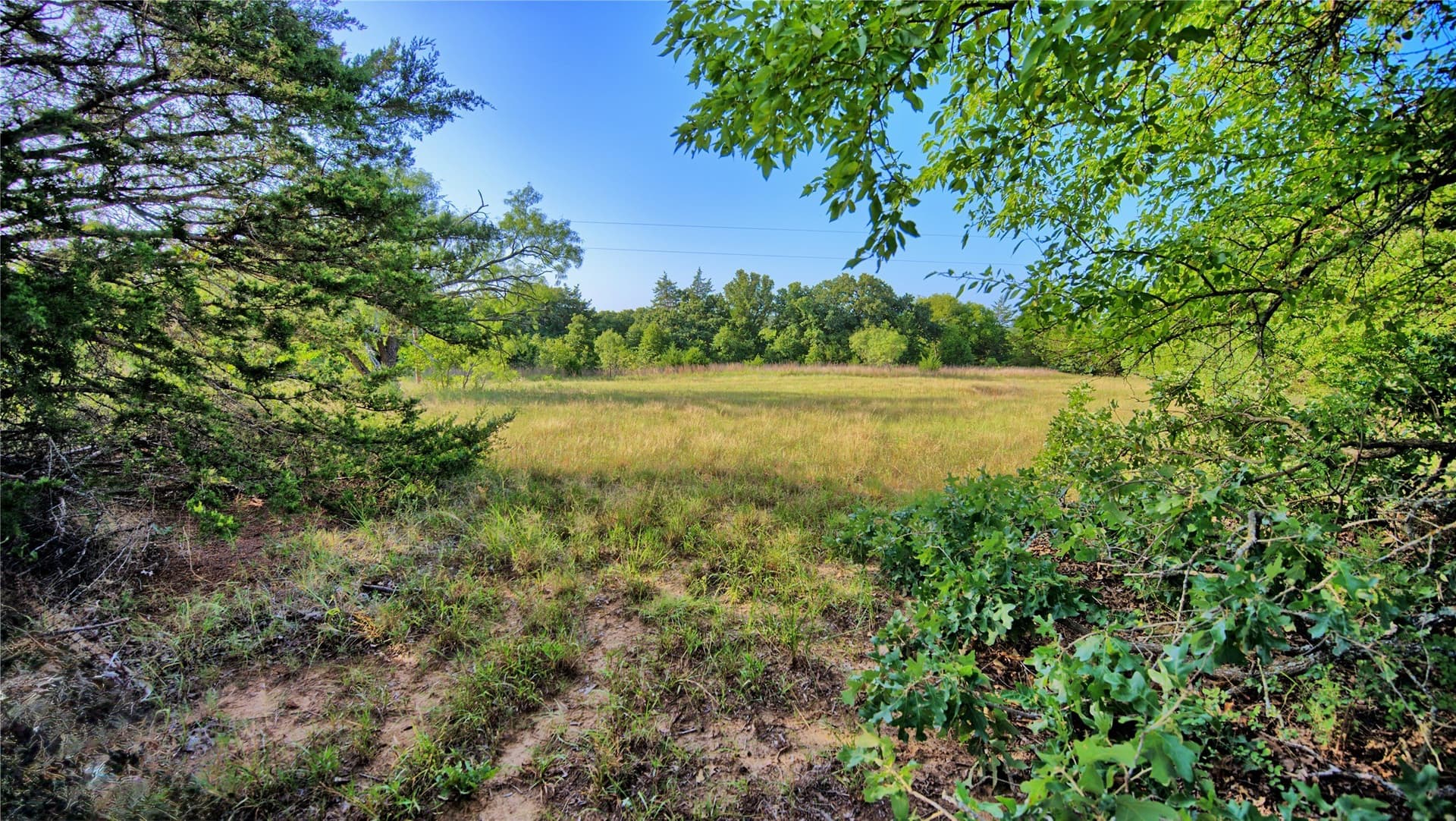 23.37 acres in Montague County gallery image 3