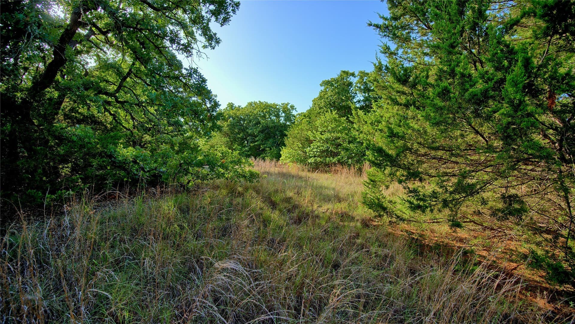 23.37 acres in Montague County - photo 8