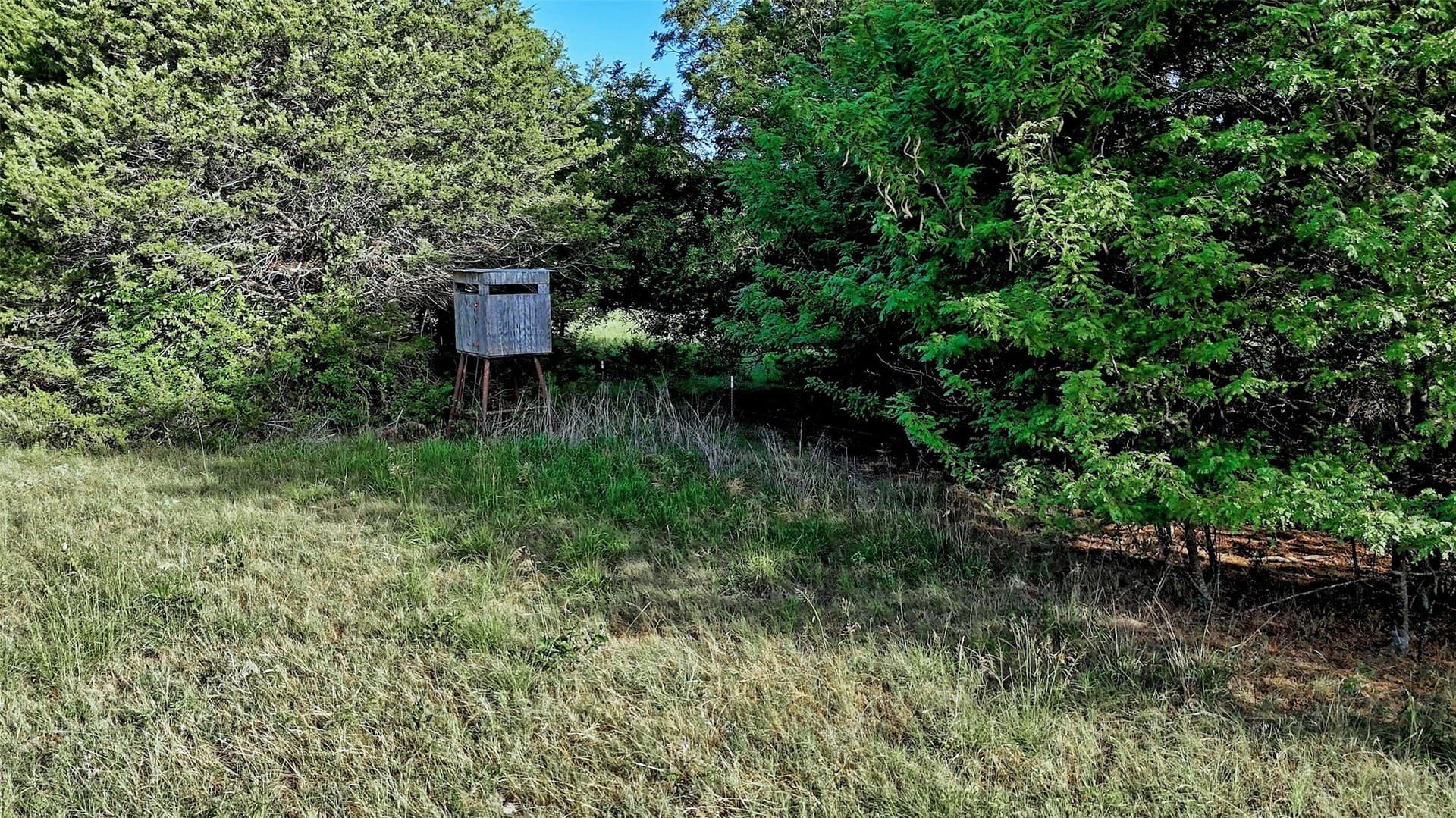 23.37 acres in Montague County featured view