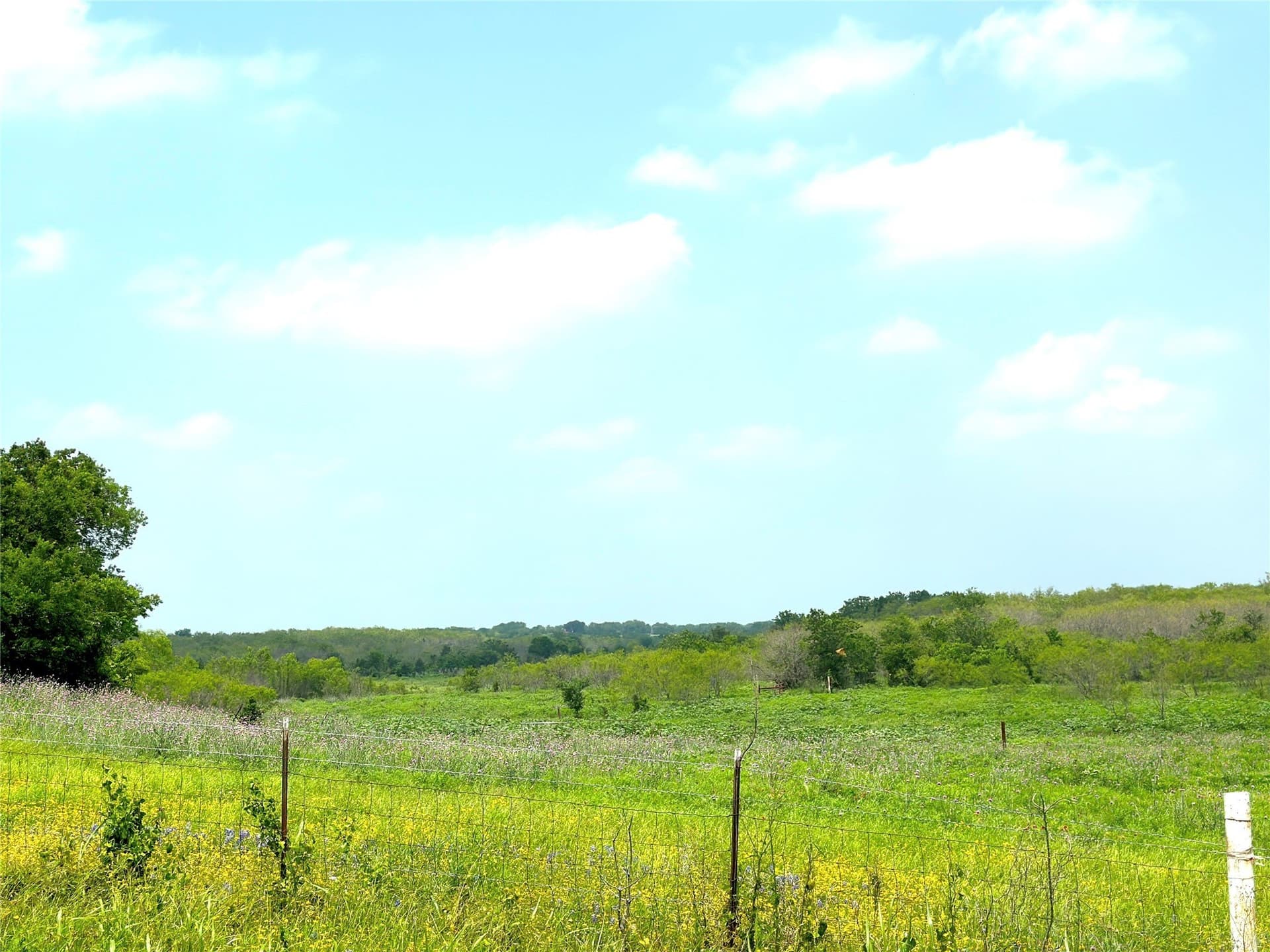 11.1 acres in McLennan County gallery image 2