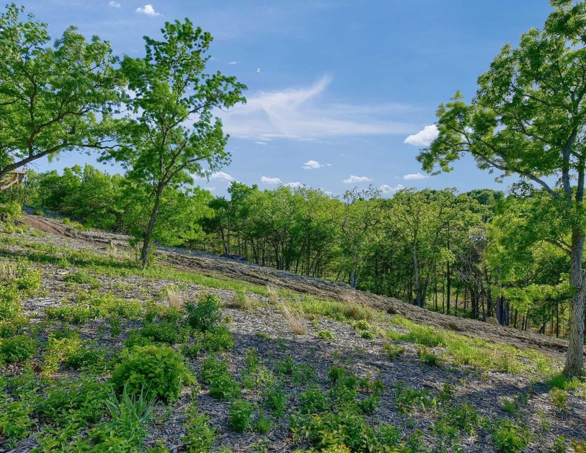 5.63 acres in Grayson County - photo 21