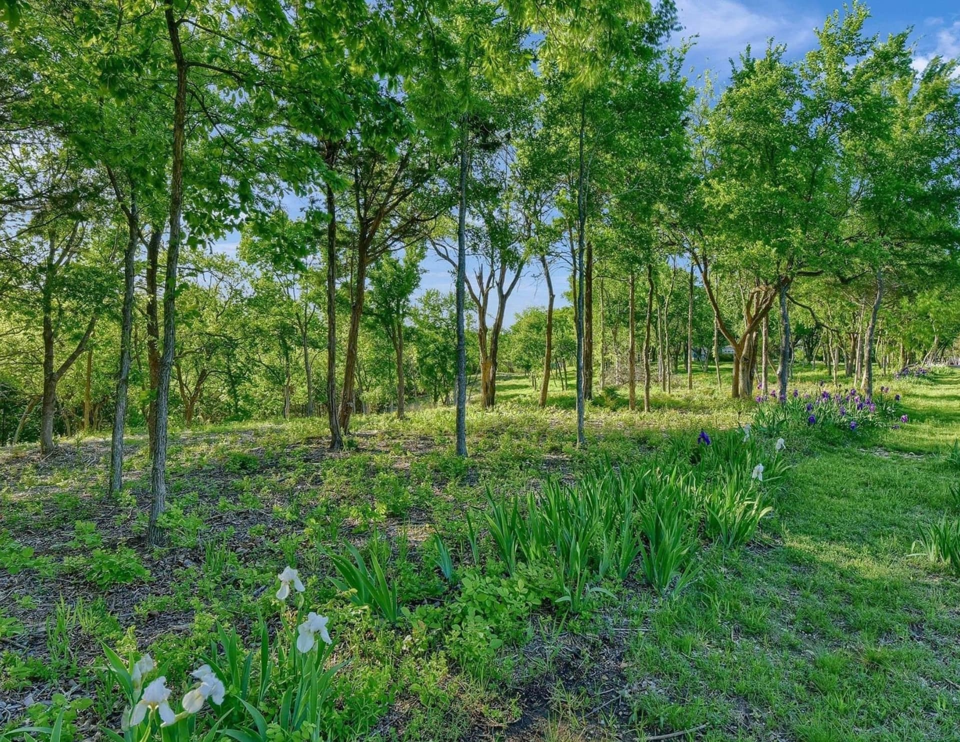 5.63 acres in Grayson County - photo 11