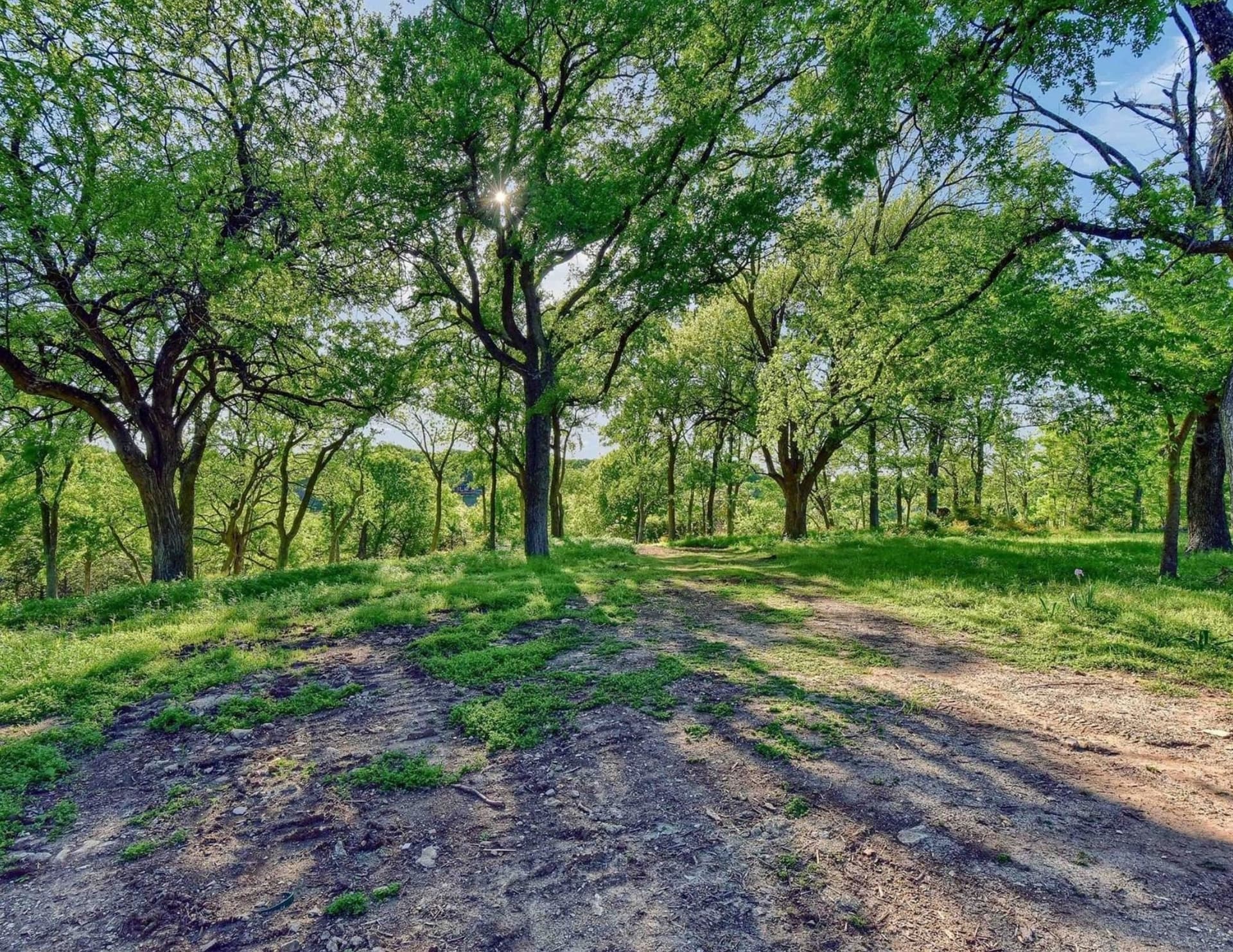 5.63 acres in Grayson County - photo 14