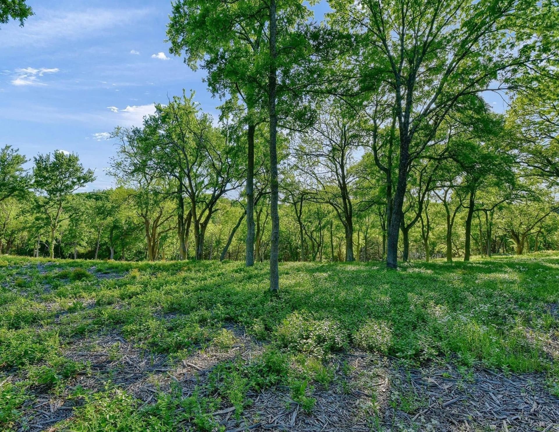 5.63 acres in Grayson County - photo 13