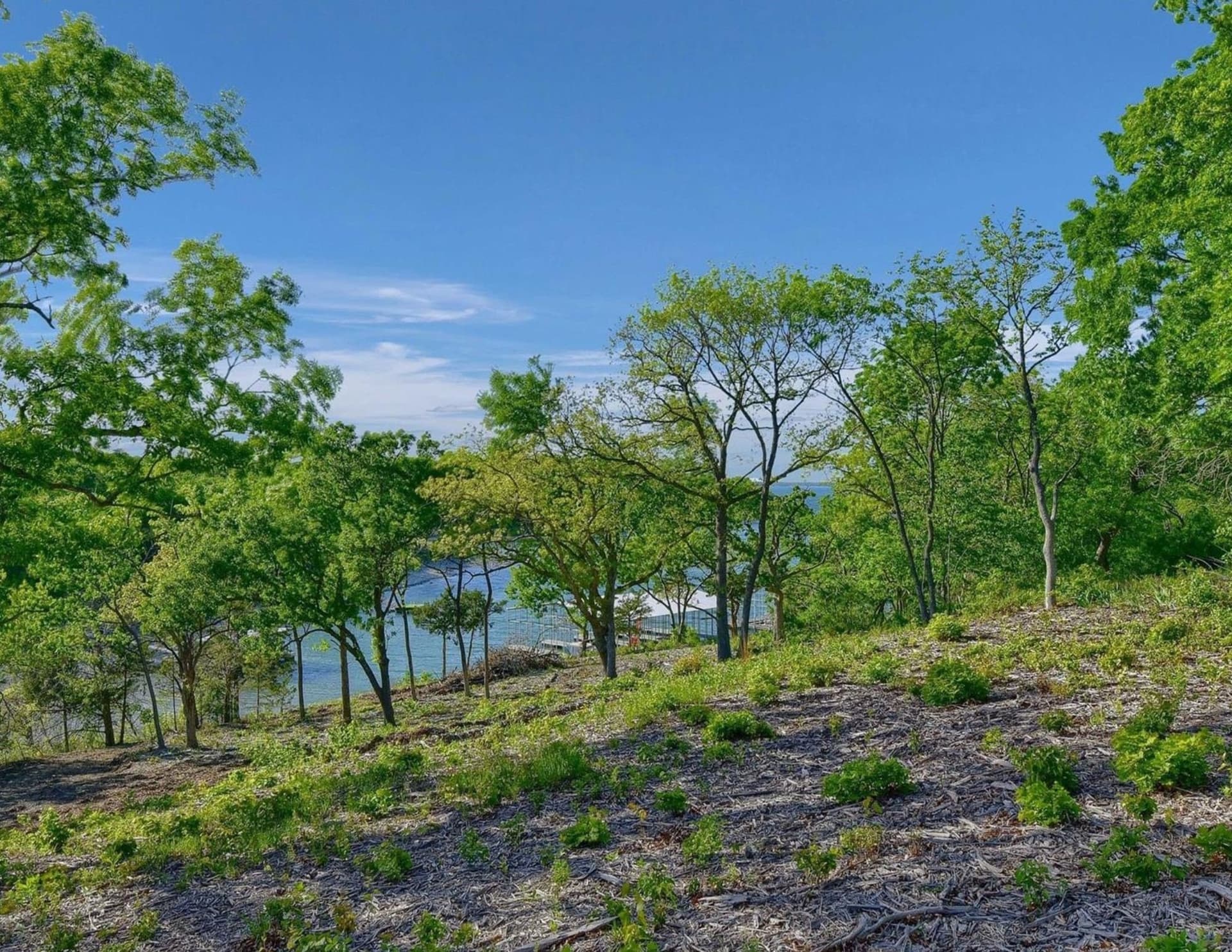 5.63 acres in Grayson County - photo 20