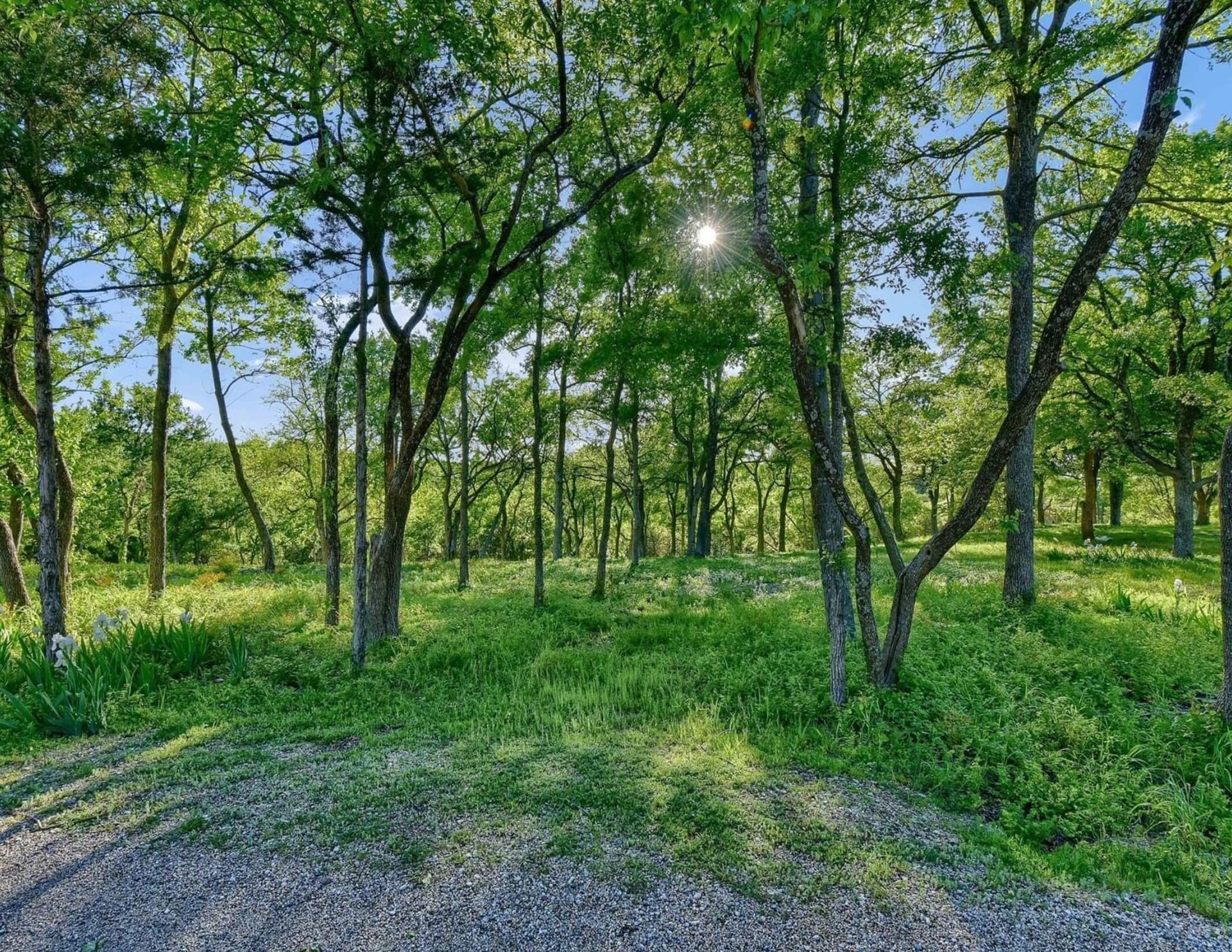 5.63 acres in Grayson County - photo 10