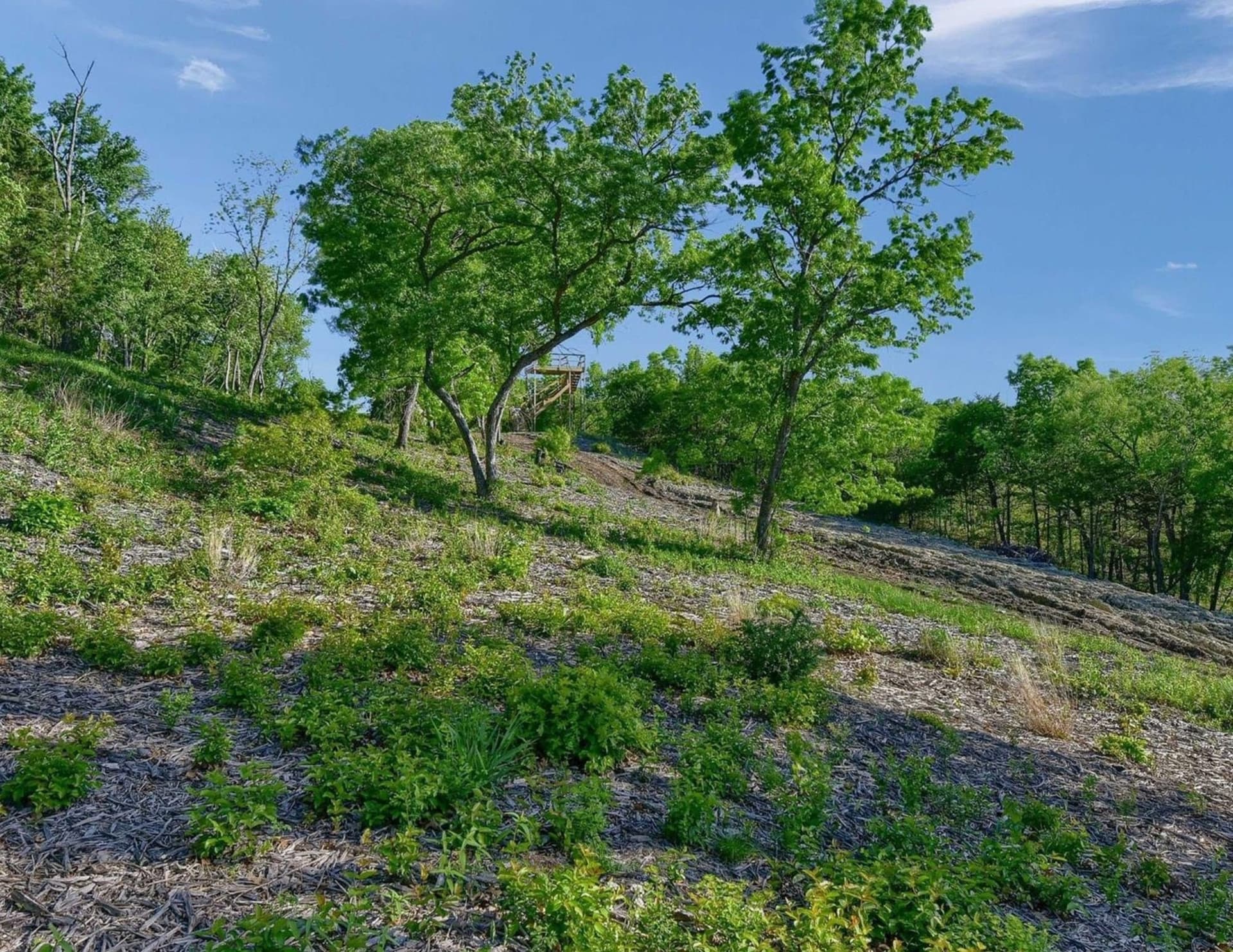5.63 acres in Grayson County - photo 22