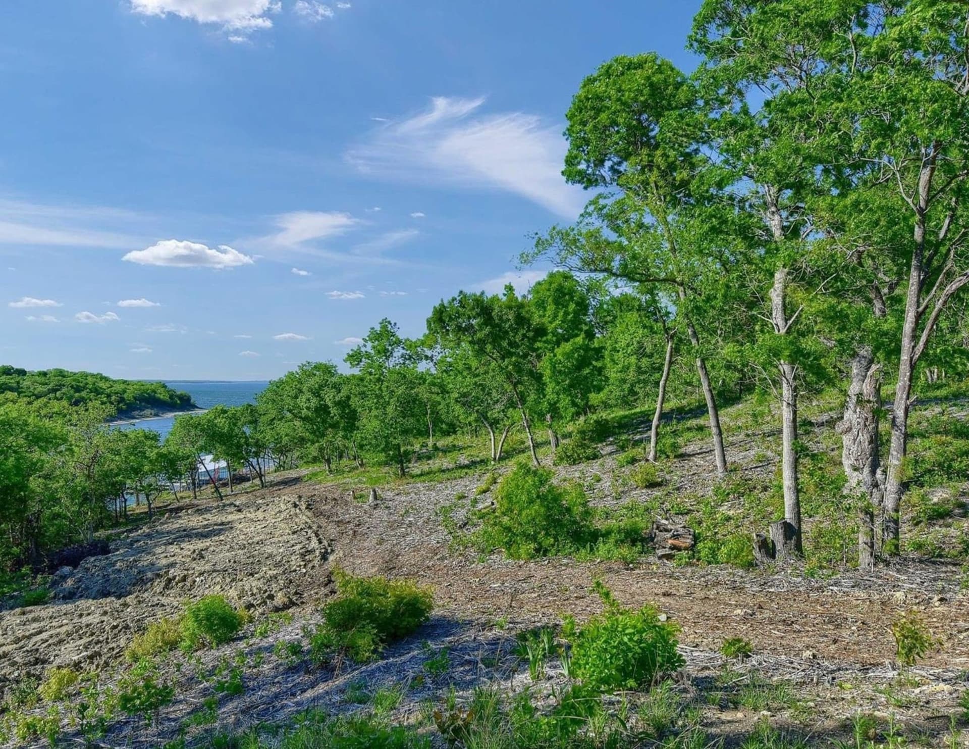 5.63 acres in Grayson County - photo 24