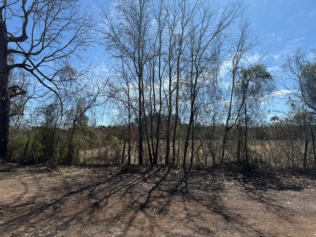 2 acres in Texas County gallery image 3