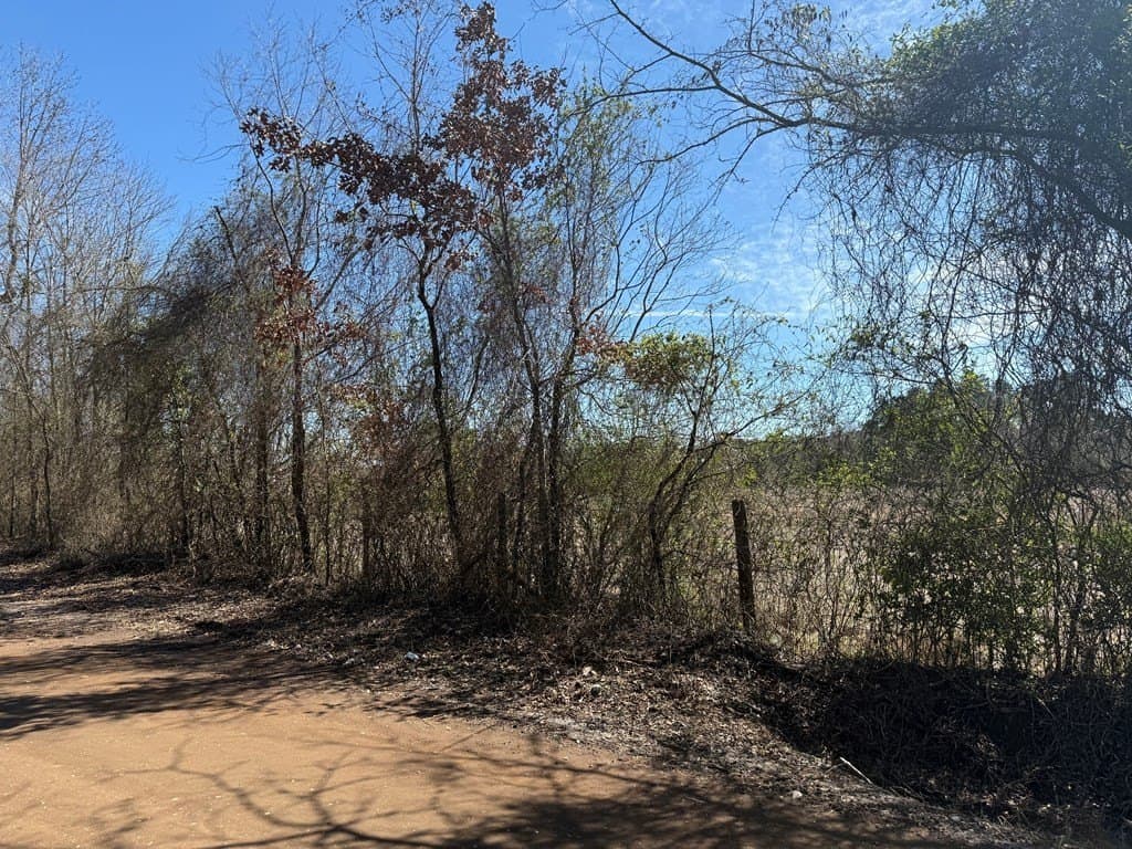 2 acres in Texas County gallery image 4